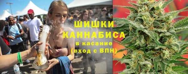 сатива Нягань