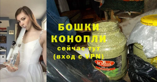 сатива Нягань