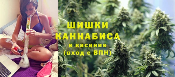 сатива Нягань