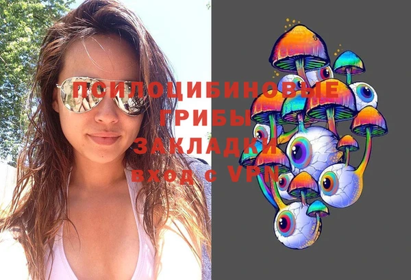 дмт Нязепетровск